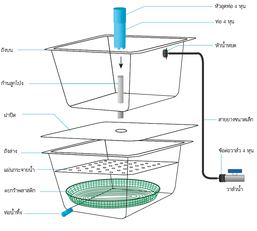 beansprout-structure